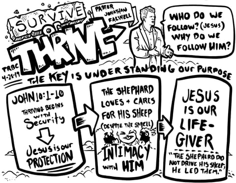 Survive or Thrive